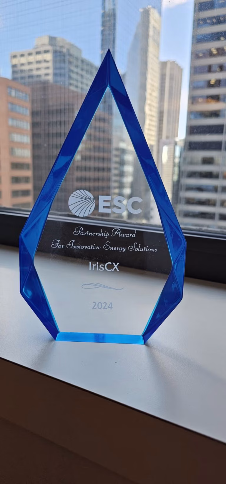 A blue award resting on a window sill, illuminated by natural light, highlighting its polished surface.