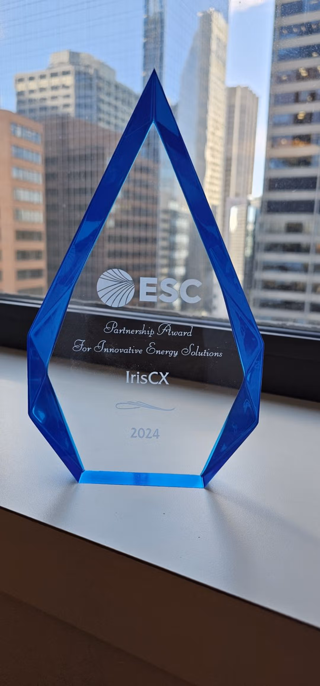 A blue award resting on a window sill, illuminated by natural light, highlighting its polished surface.